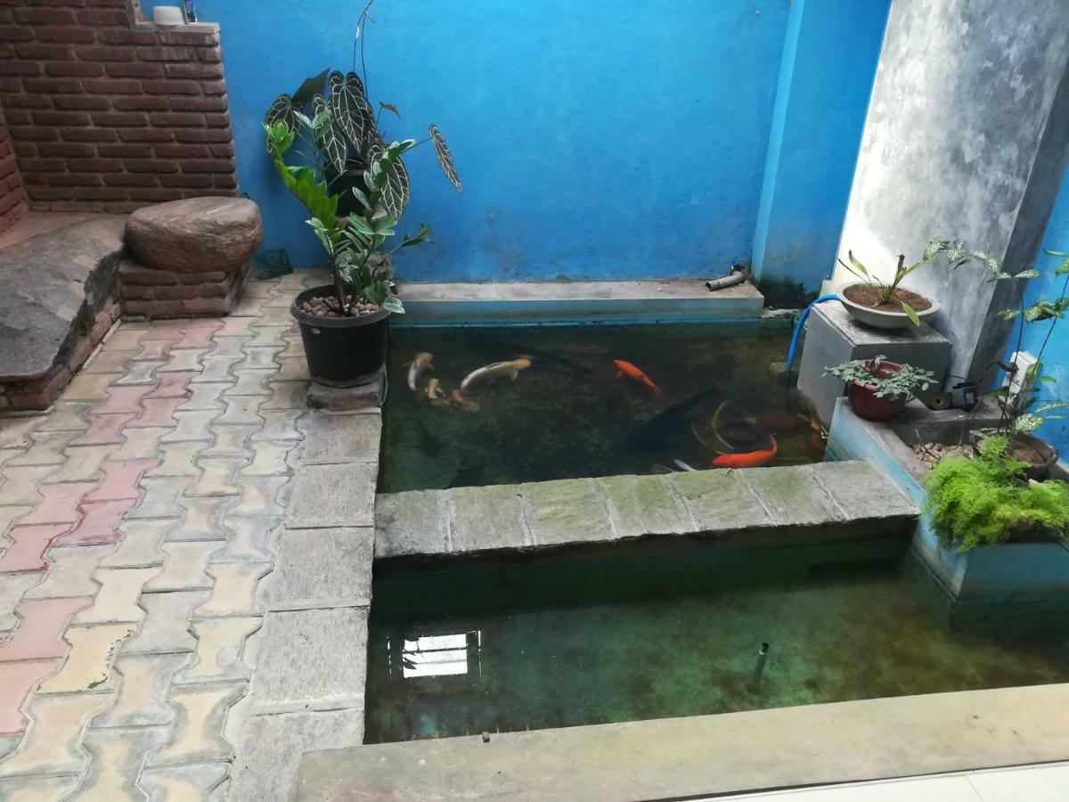 ماتارا Aurora Echo Villa المظهر الخارجي الصورة
