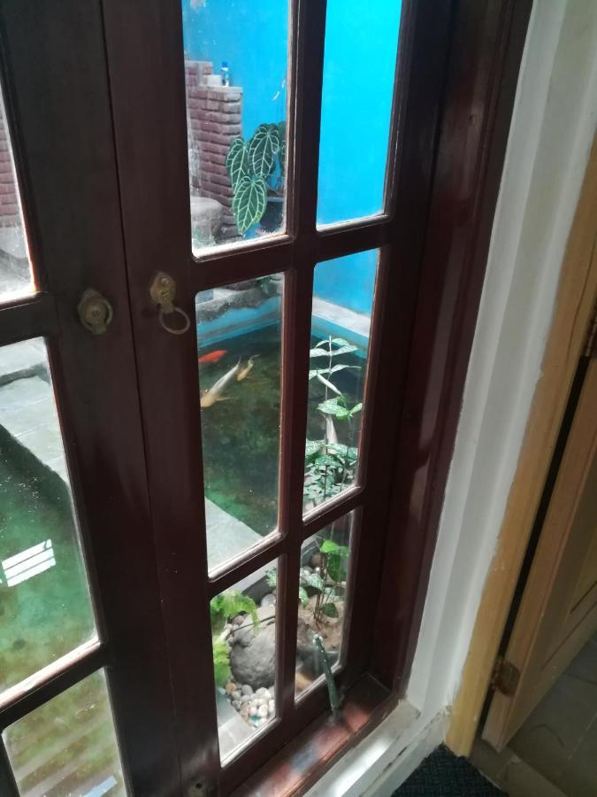 ماتارا Aurora Echo Villa المظهر الخارجي الصورة